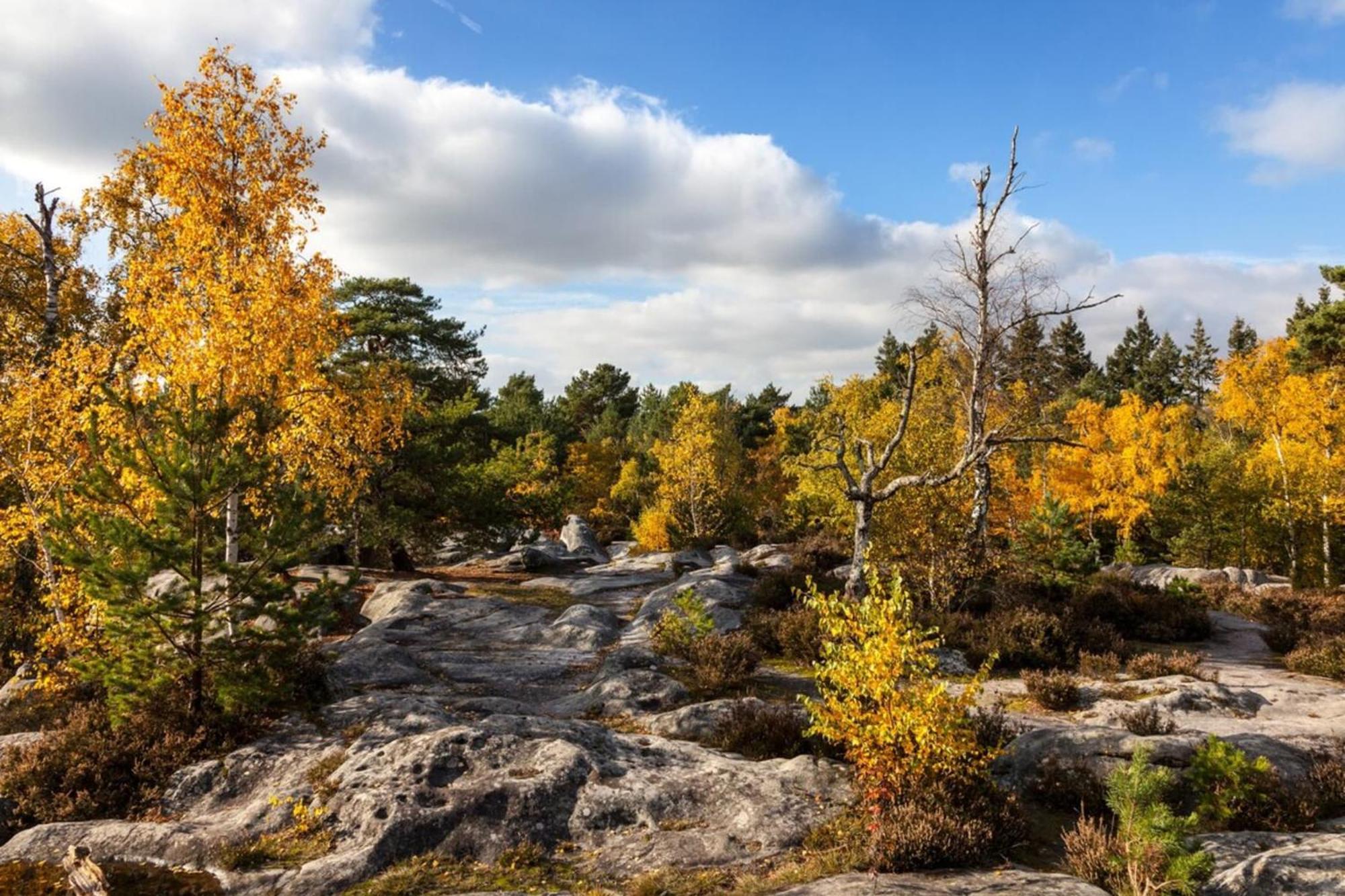 Appartamento Cosy Fontainebleau Esterno foto